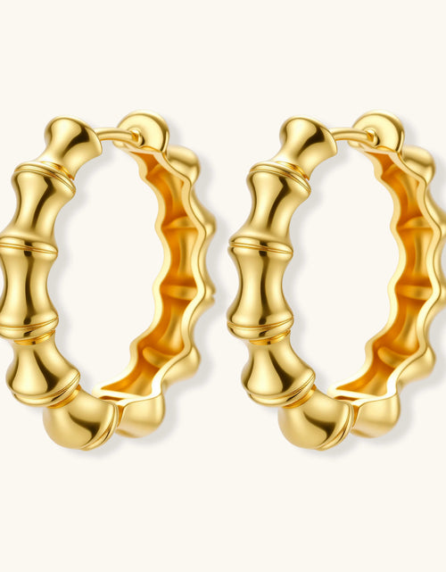 Load image into Gallery viewer, Simply Savvy Bamboo Segment Hoops
