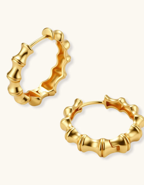 Load image into Gallery viewer, Simply Savvy Bamboo Segment Hoops
