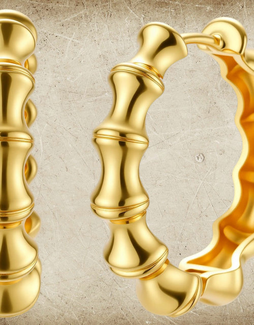 Load image into Gallery viewer, Simply Savvy Bamboo Segment Hoops
