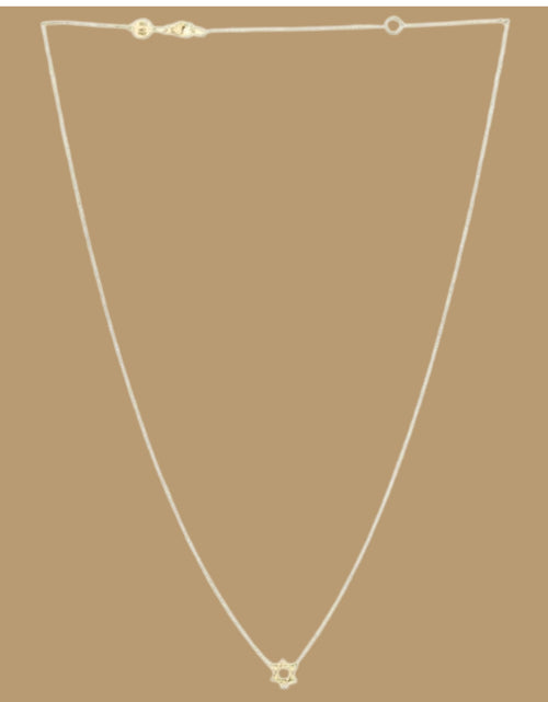 Load image into Gallery viewer, 14K Yellow Gold Star of David Necklace – 18 Inch
